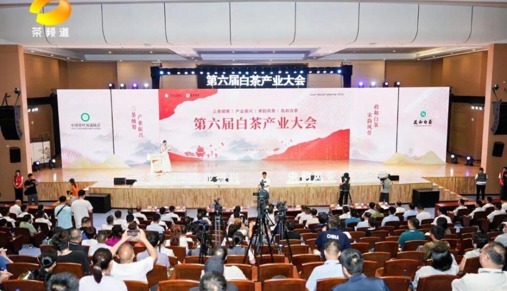 第六届白茶产业大会 2026年政和白茶品牌宣传推广活动举行