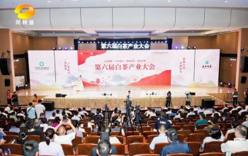 第六届白茶产业大会 2026年政和白茶品牌宣传推广活动举行