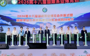千亿湘茶再启新程！2026第十八届湖南茶业博览会开幕